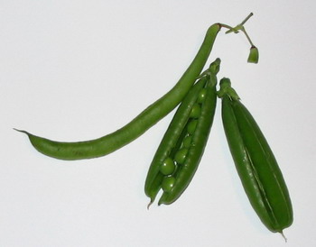 peas & beans