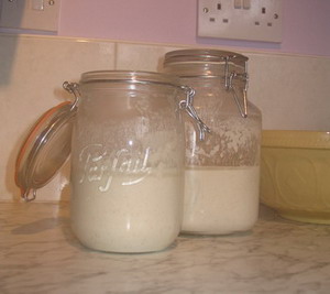 sourdough starter